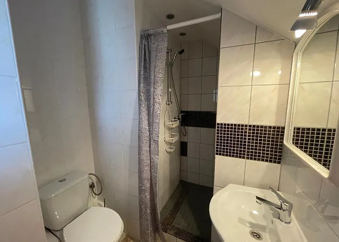 Alka * 米兹多洛杰